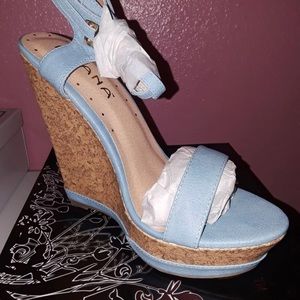Light blue wedges